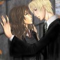 Harry Potter: Drago et Hermione