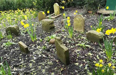 Un vieux cimetière de chiens perdu dans un parc de la ville de Bath - Angleterre (mars 2020)