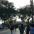 El parque Juarez