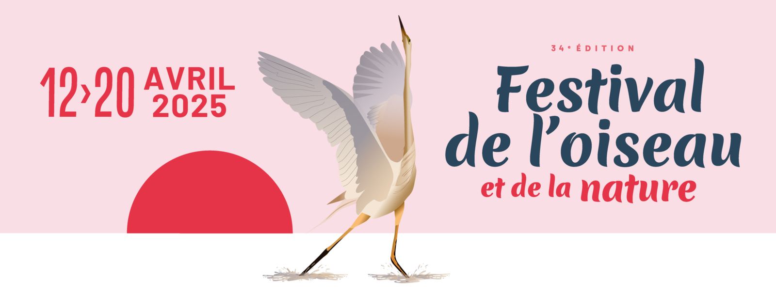 Festival de l'Oiseau en Baie de Somme