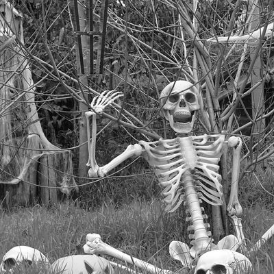 Les Bottes Rouges semaine 44