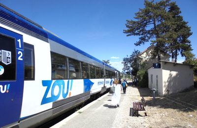 Le CPER Provence-Alpes-Côte-d'Azur prévoira 310 millions d'euros à parts égales Etat-Région pour l'infrastructure ferroviaire
