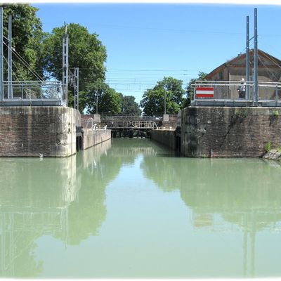 Une petite croisière, çà vous dit?