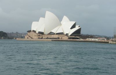 Mes débuts à Sydney