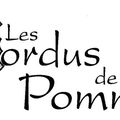 L'ECOLE DE VILDE DANS LA BROCHURE DES MORDUS DE LA POMME