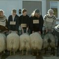 Béliers: le film islandais qui vous féra béler de plaisir !!