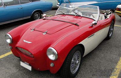 Austin Healey 100 1953-1956