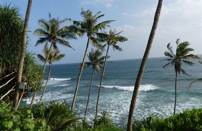 Voyage au Sri Lanka - direction Mirissa, l'océan, et la côte sud de l'île