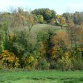 TRES BON MERCREDI AVEC LES COULEURS DE L'AUTOMNE...