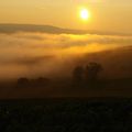 Vendanges 2011 : dernières nouvelles du front, etc...