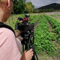 MA TARTE TROPEZIENNE COMPLETEMENT REVISITEE POUR L'EMISSION METEO A LA CARTE SUR FRANCE 3