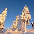 ceci n'est pas un décor en massepain la neige est