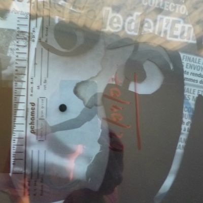 autoportrait Borny 2016