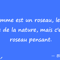 Excédent d'un côté, carence de l'autre