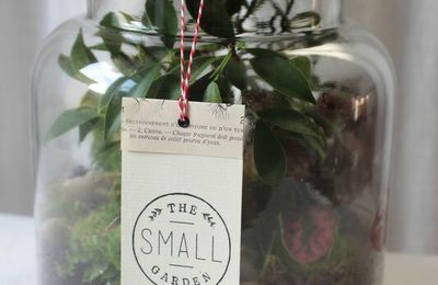 Dans ma hotte il y avait... #5