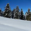 Jeudi 19 Février: Ski de Montagne