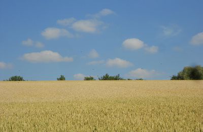 Notez bien que les horaires de départ des marches