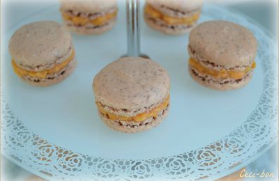 Macarons à la poudre de noix de pécan et ganache à la carotte