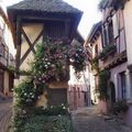 Ballade à Eguisheim