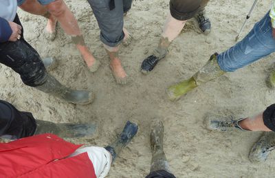 Qui est qui ???? souvenir de Baie de Somme