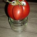 la dernière tomate de cette année 