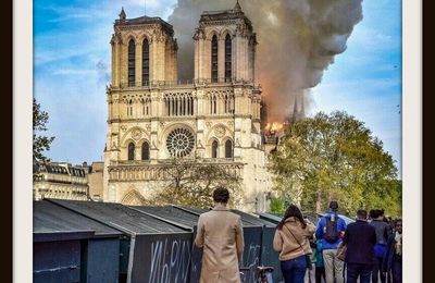 Après l’incendie de Notre-Dame, les douze mois d’un chantier à l’arrêt