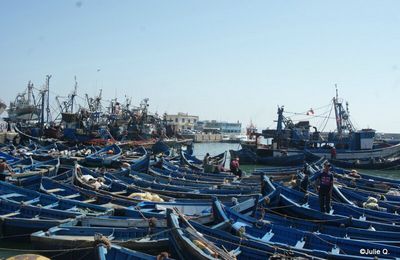 Au port d'Essaouira
