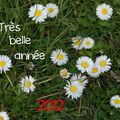 Bonne année 2012