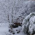 Mon jardin sous la neige !