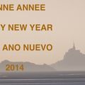 bonne année 2014