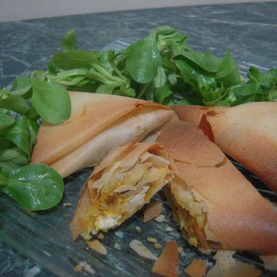 Bricks de poulet 