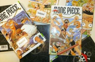 One Piece : aux origines ...
