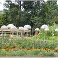 Balade dans les jardins du parc de Wesserling