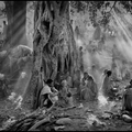 Le Sel de la Terre (The Salt of the Earth) (2014) de Wim Wenders & Juliano Ribeiro Salgado
