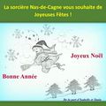 Joyeux Noël et Bonne Année !