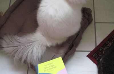 James, le lapin qui en savait trop - Tania Sollogoub