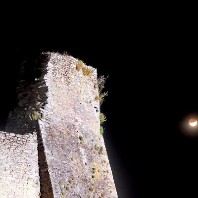 Château de Suscinio en Sarzeau - Presqu'île de Rhuys - Morbihan - Bretagne