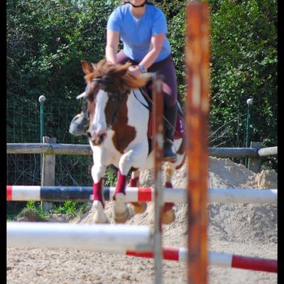 Concours