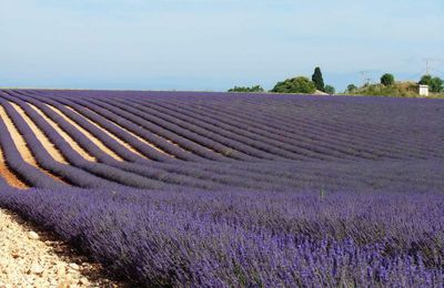 haute Provence