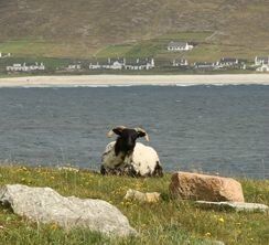 Achill Island