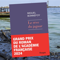 Le rêve du Jaguar, par Michuel Bonnefoy