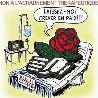 A quand une véritable candidature : "sociale démocrate".