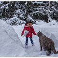 Oh... un chat des neiges ! - Oh... a snow cat !