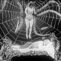 les vintages du samedi : " L'enseignement de l'araignée n'est pas pour la mouche". Henri Michaux 