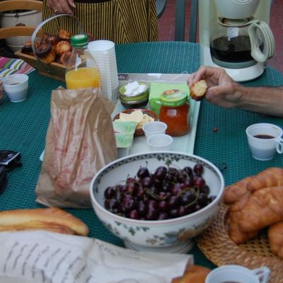 Des plantes plus belles les unes que les autres ...