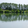 ♥ Balade le long du Rhône (2)...♥