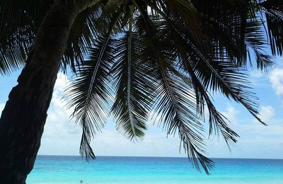 Plages des Seychelles