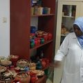 Visite du laboratoire de géomatériaux (céramique) du CERD & de l’Herbier National de Djibouti.