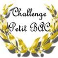 Challenge Petit Bac - bilan février 2011