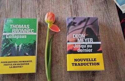 Thomas Bronnec, Deon Meyer: deux auteurs chevronnés de polars à découvrir en poche